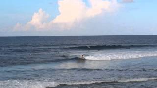 Surfing in Barbados [upl. by Oliana]