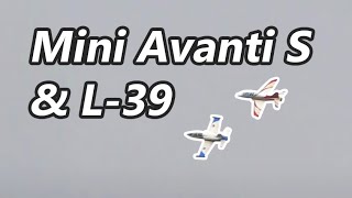 Freewing L39 amp SebArt Mini Avanti S  49 Jahre FMV Brackenheim [upl. by Elamrej489]