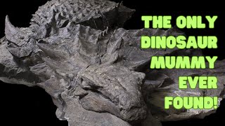 The Only Dinosaur Mummy Ever Found [upl. by Clark]