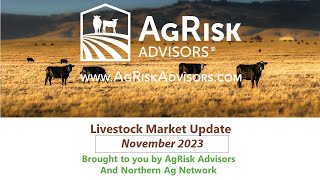 November 2023 Livestock Market Update [upl. by Ocnarf837]