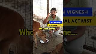 Our Ajith was born blind animals animalrescue rescued sanctuary animalsanctuary viral [upl. by Aseel347]