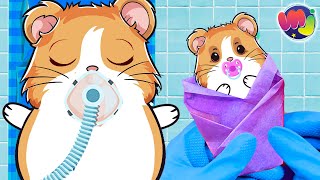 🐶 HAMSTER EMBARAZADA TIENE un BEBÉ en el HOSPITAL 🤰 [upl. by Whitford]