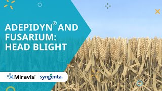 ADEPIDYN® and Fusarium Head blight [upl. by Sam]