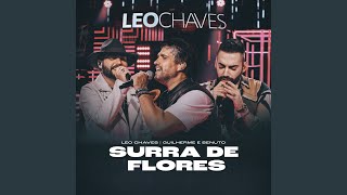 Surra De Flores Ao Vivo [upl. by Hanahs]