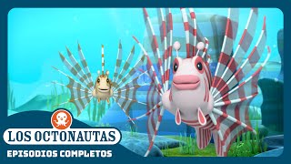 Los Octonautas  🦁 El pez león 🐠  Temporada 2  Episodios Completos [upl. by Matheson175]