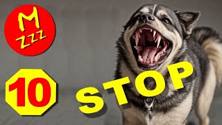 Stop Dogs Barking with Ultra High Pitch Dog Whistle [upl. by Artemas]