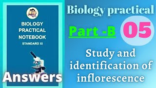 Study and identification of inflorescence biology practical class 11 experiment 5 part b answers [upl. by Courtney]