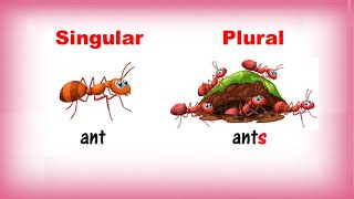 Singular and Plural Nouns  Class 1  CBSE [upl. by Lisandra]