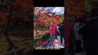 Autumn in KYOTO Japan [upl. by Deery223]