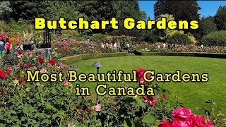 Butchart Gardens  Full Walking Tour 4K  Victoria BC  July 2024 [upl. by Laicram270]