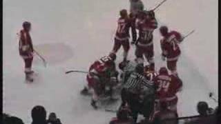 Junior hockey fight Sweden [upl. by Sweyn]