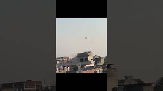 Kite flying  Batala kite flying kite batala kiteflying punjabivlogs patangbazivlog punjabi [upl. by Ginger714]