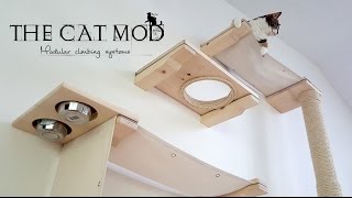 The Cat Mod  Modular Climbing Systems [upl. by Arni342]