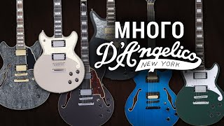 Новинки от DAngelico – Excel DC Premier Bedford Bob Weir Deluxe Brighton Fabrizio Sotti Deluxe [upl. by Odnala295]