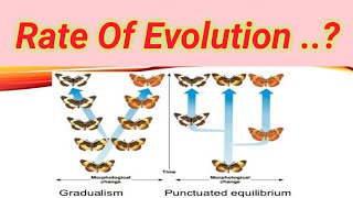 Rate of evolution  Lecture no  32 [upl. by Thane]