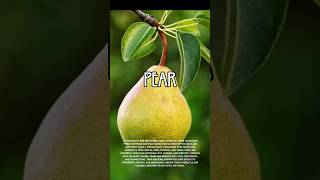 The Most Powerful Plants According to Witchcraft Pears [upl. by Creighton451]