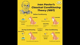 Classical Conditioning Theory Ivan Pavlov Experiment BEd [upl. by Mit]