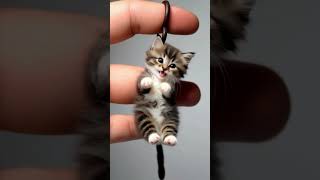 Can You Believe This Cat Balances on a Finger [upl. by Runkel]