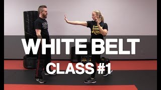 Introduction to Krav Maga  White Belt Class 1 Stance amp Palm Strike [upl. by Mckale]