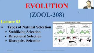 Stabilizing Disruptive and Directional Selection Stabilizing Disruptive Directional Selection [upl. by Santiago]