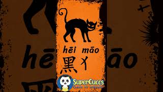 学中文 黑猫  Learn Chinese BLACK CAT  Aprender Chino  GATO NEGRO Shorts [upl. by Yanrahc41]