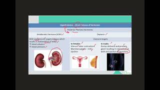 Hormones of Pituitary Gland [upl. by Chute]