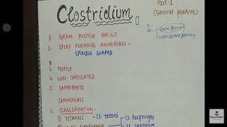 CLOSTRIDIUM  GENERAL FEATURE  MICROBIOLOGY CLASSIFICATION gram positive bacilli part 1 8point [upl. by Harbed]