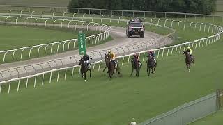 Murwillumbah 05 11 2024 Race 4 [upl. by Haymo]