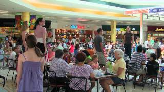 Food Court Flash Mob  America The Beautiful  Must See [upl. by Aikimat]