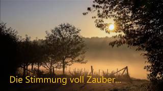 Herbstzauber 432 Hz [upl. by Langsdon]