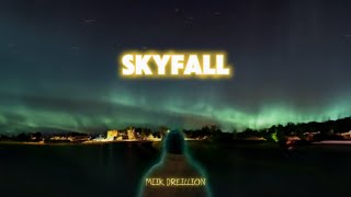 Miik Dreillion  SKYFALL Official Lyrics Video [upl. by Ithaman555]