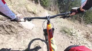 MuttersbergTrail Enduro 2017 Propain Tyee [upl. by Kellyann827]