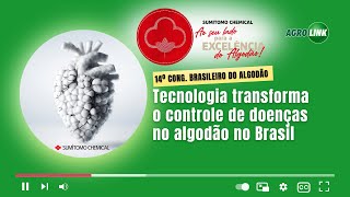 Tecnologia transforma o controle de doenças no algodão no Brasil [upl. by Ahsinrev]