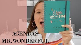 TUDO SOBRE A MINHA AGENDA MR WONDERFUL  BACK TO SCHOOL [upl. by Cedar]