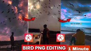 Bird PNG Editing 1 minute main smartphone editing videoediting instareels newedit kinemaster [upl. by Hsuk]