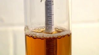 How to Use a Hydrometer for Homebrewing [upl. by Ram]