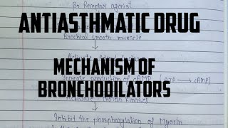 Mechanism of action for Bronchodilator  Beta 2 Agonist Anticholinergic agents  Methylxanthine [upl. by Hermon]