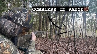 Day 2 Gobblers in RANGE NC Turkey hunt [upl. by Orville]