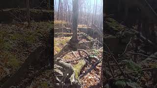 Old ruins in the pa mountains nature pahikes hiking explore [upl. by Johm]