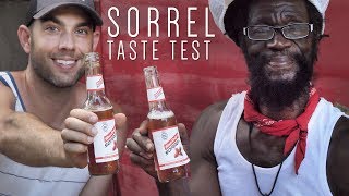 Red Stripe Sorrel Taste Test [upl. by Abih]