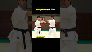 How to use your hips for highspeed hitting【Budo Karate】 [upl. by Nagah]