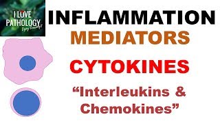 INFLAMMATION Part 6 Chemical Mediators CYTOKINES Interleukins amp Chemokines [upl. by Menedez219]