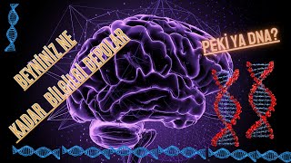 BEYNİNİZ NE KADAR BİLGİ DEPOLAYABİLİR PEKİ YA DNA [upl. by Elmina669]