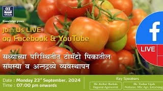 सध्याच्या परिस्थितीत टोमॅटो पिकातील समस्या व अन्नद्रव्ये व्यवस्थापन [upl. by Sert]