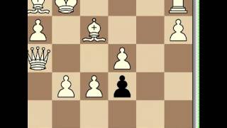 Lajos Portisch Vs Bobby Fischer 1966 [upl. by Sofia]