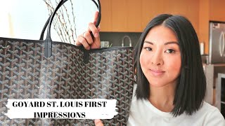 GOYARD ST LOUIS TOTE  FIRST IMPRESSIONS [upl. by Beora]