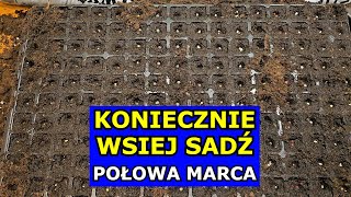 KONIECZNIE Wysiej te Warzywa w Połowie Marca Co siać sadzić w Marcu Kalendarz Ogrodnika Warzywnika [upl. by Xeno]