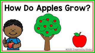 How Do Apples Grow Apple Life Cycle [upl. by Mehitable]