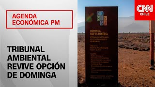 Tribunal Ambiental revive opción de Dominga [upl. by Eelatan]