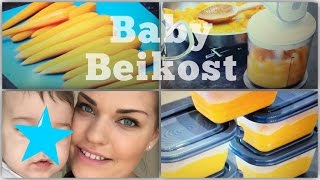 👶🏻 Beikost Einführung  Breirezept  Babybrei selber kochen  TEIL 1 [upl. by Tongue]